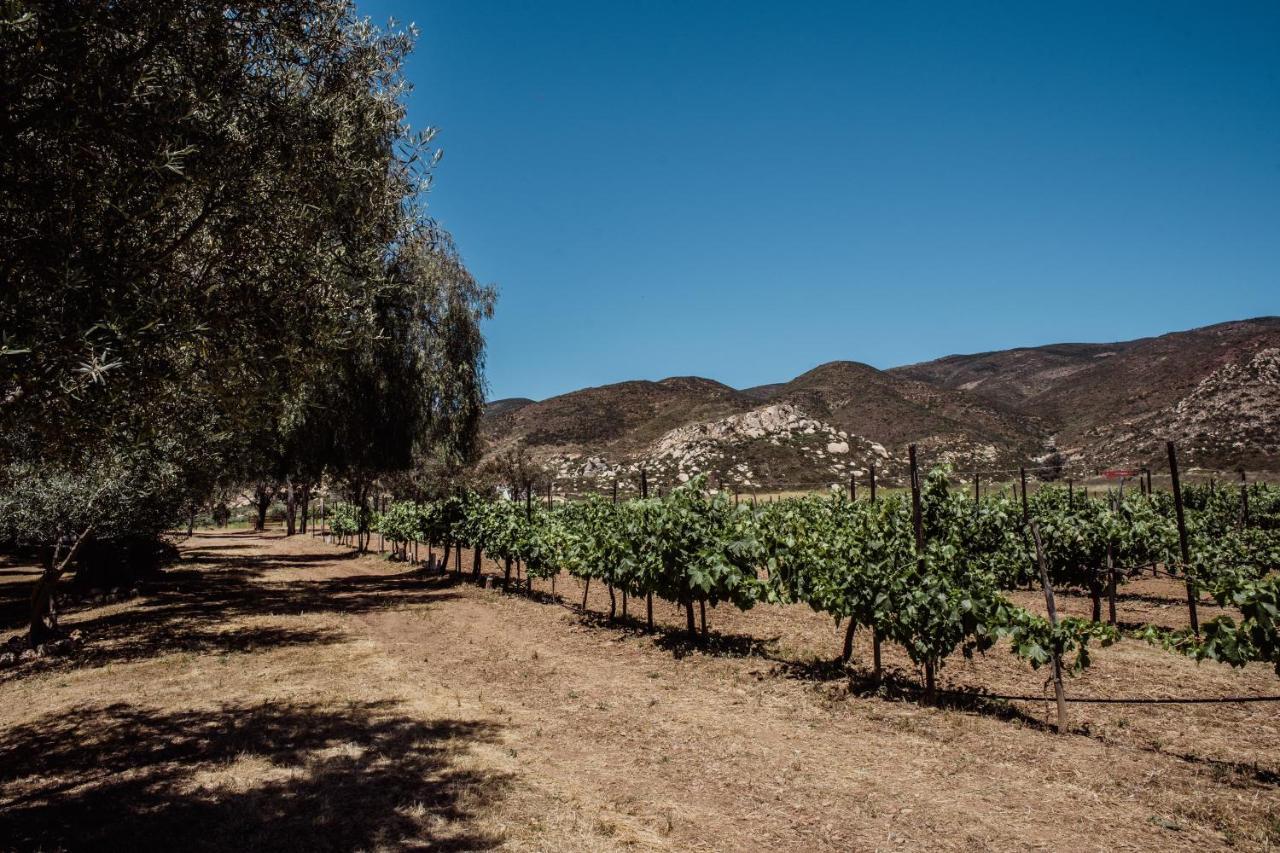 Rancho Toros Pintos Villa Valle de Guadalupe Exteriör bild