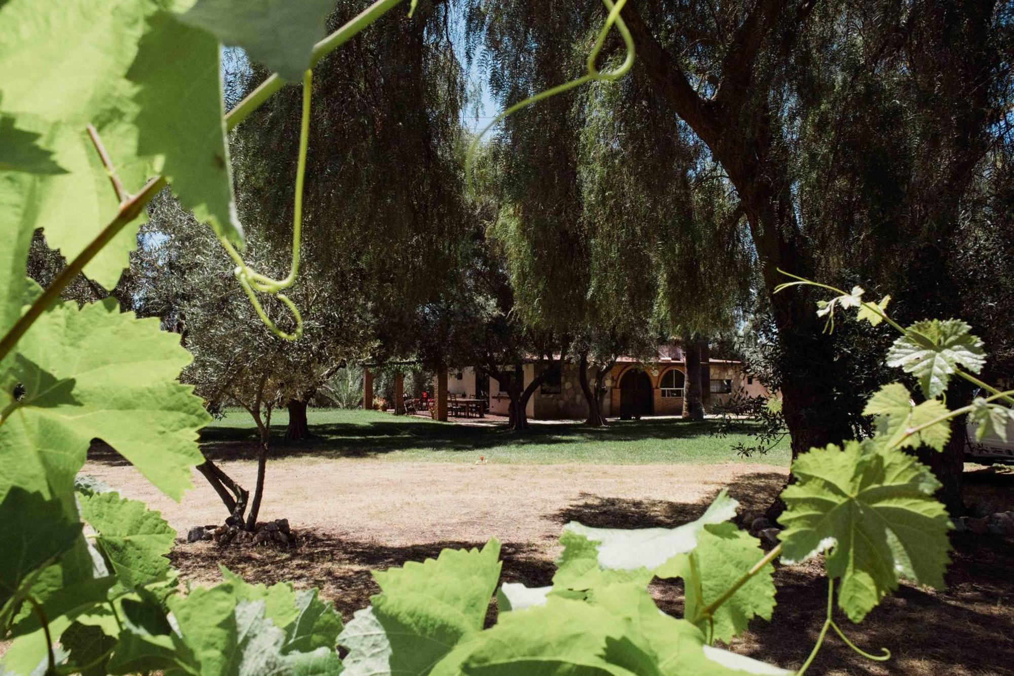 Rancho Toros Pintos Villa Valle de Guadalupe Rum bild